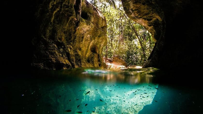 Belize Jungle & Reef - Belize tour