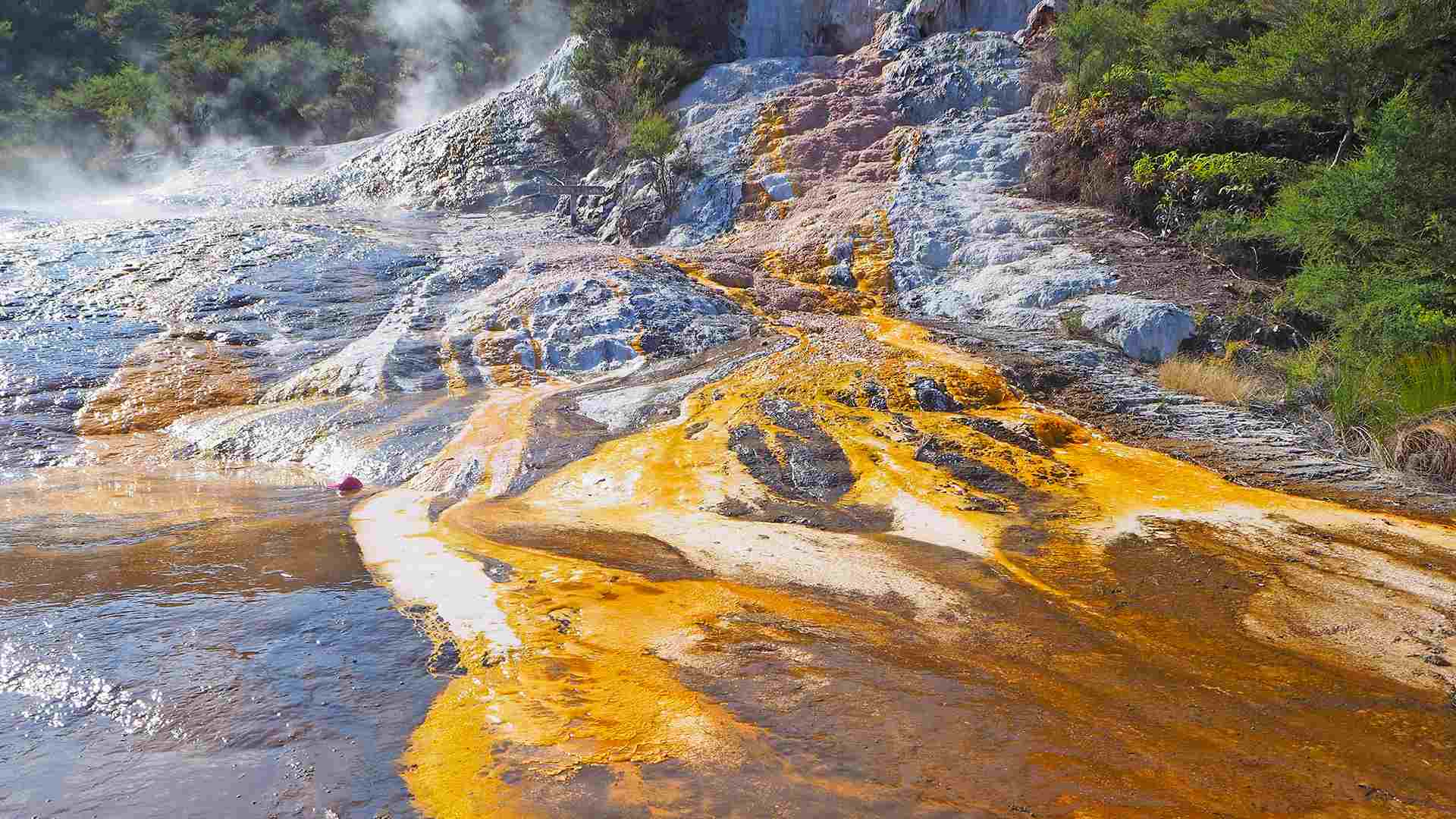 New Zealand travel destination
