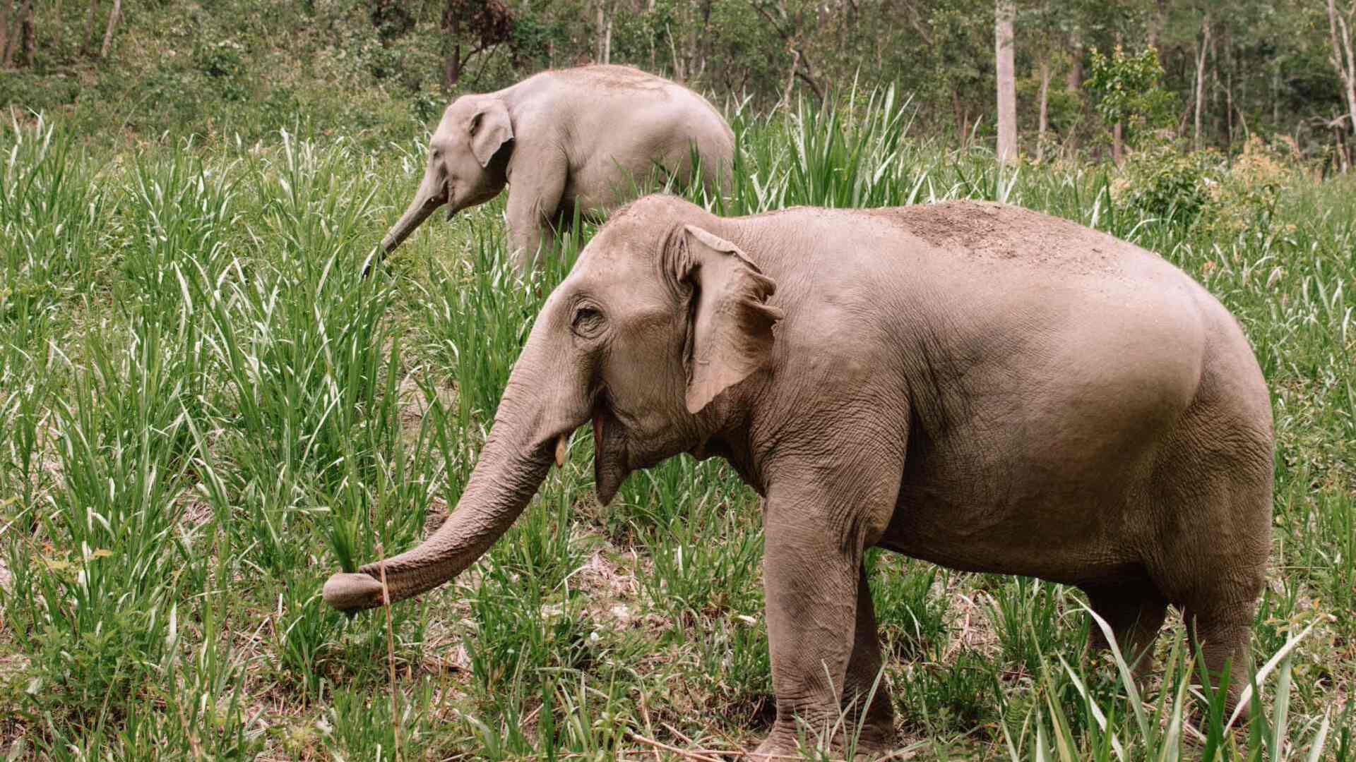 Northern Thailand Explorer - Thailand tour